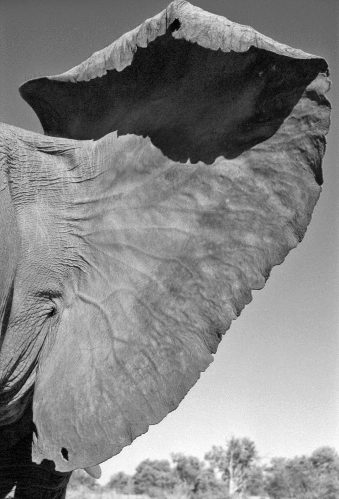 Listening, really listening.