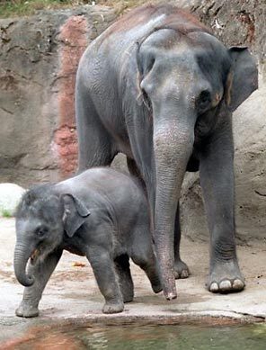 photo by Benjamin Benschnieder, Seattle Times