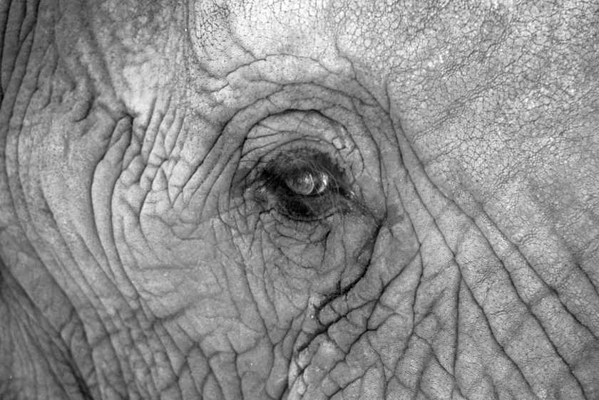 photograph by Cheryl Merrill