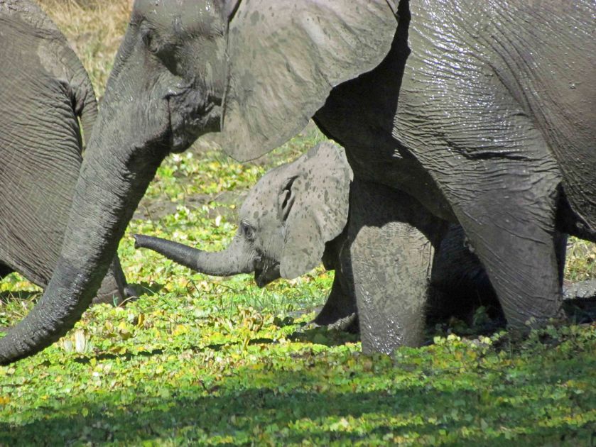 photograph by Cheryl Merrill