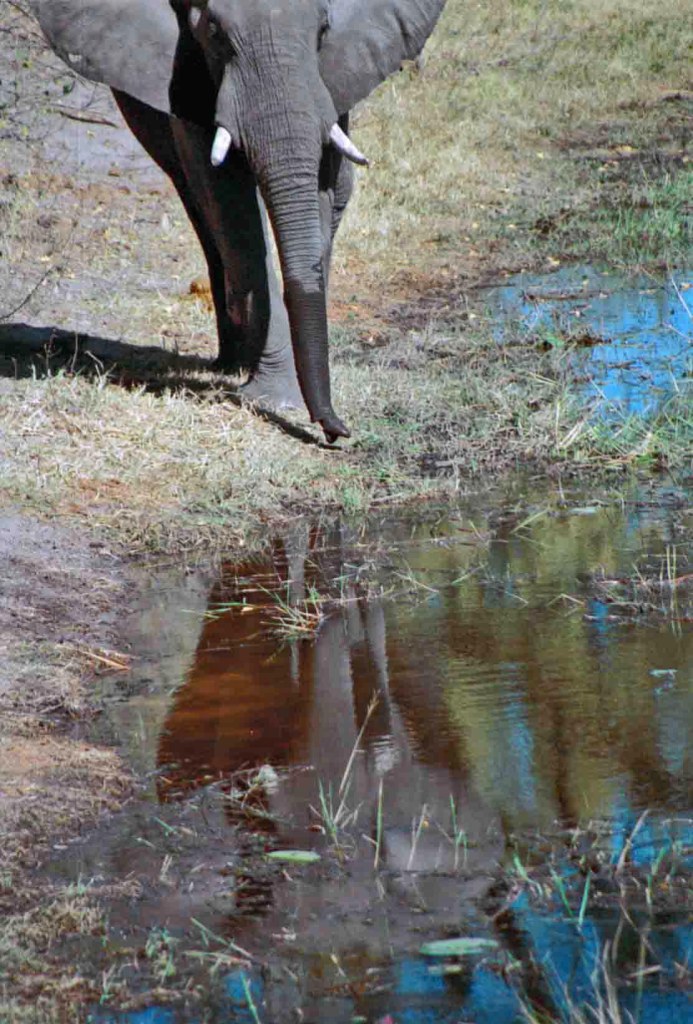 photograph by Cheryl Merrill