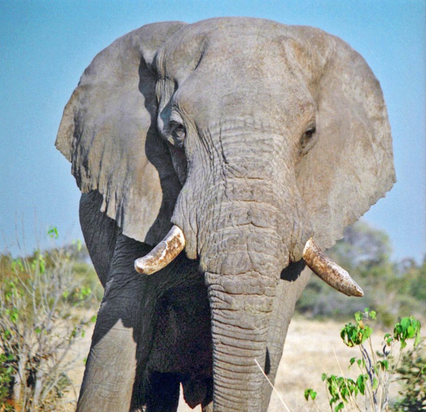 photograph by Cheryl Merrill