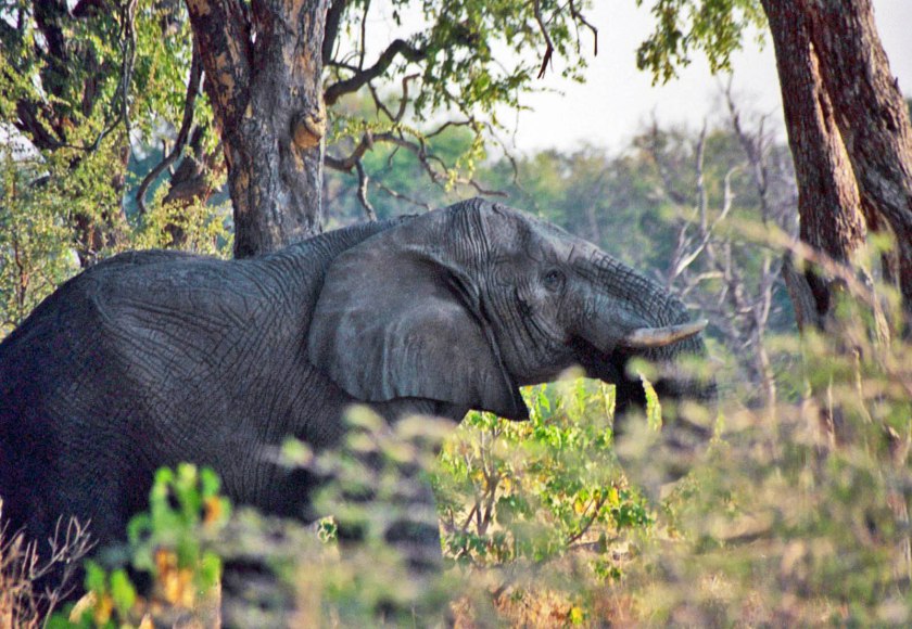 photograph by Cheryl Merrill