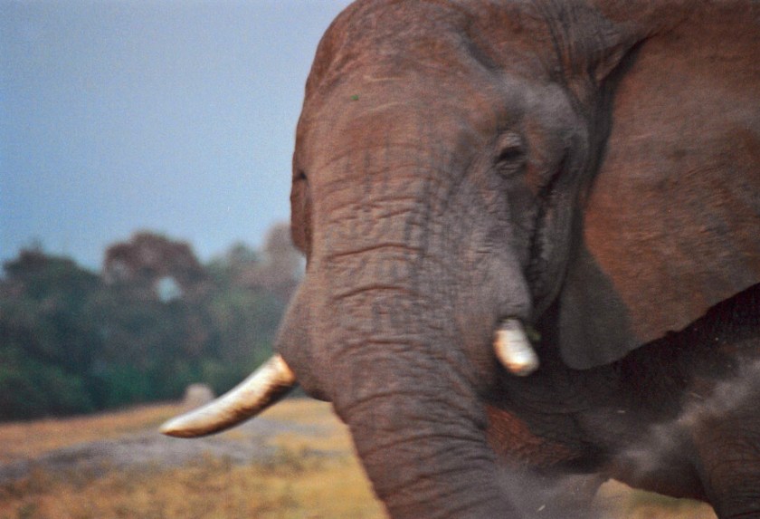 photograph by Cheryl Merrill