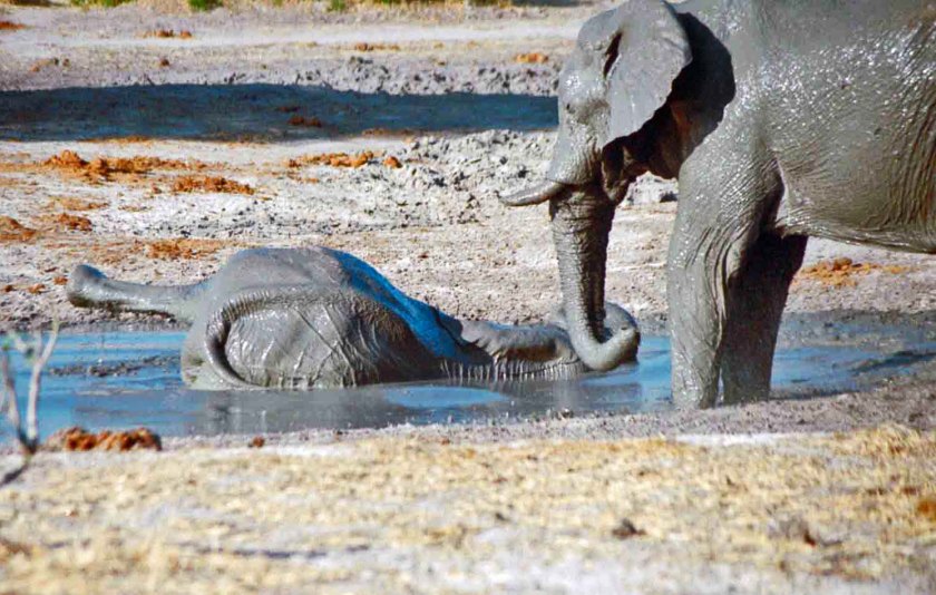 photograph by Cheryl Merrill