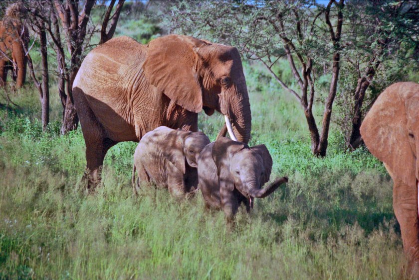 photograph by Cheryl Merrill