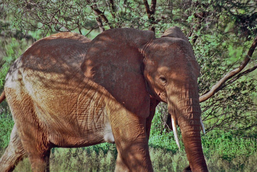 photograph by Cheryl Merrill