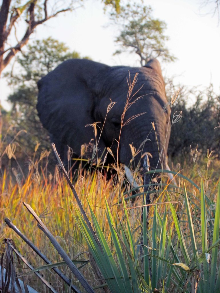 photograph by Cheryl Merrill