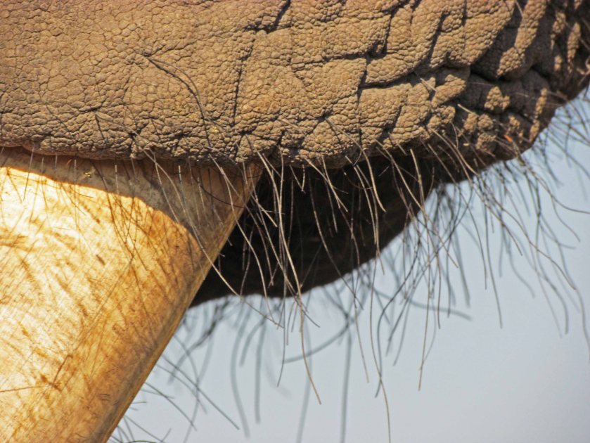 photograph by Cheryl Merrill