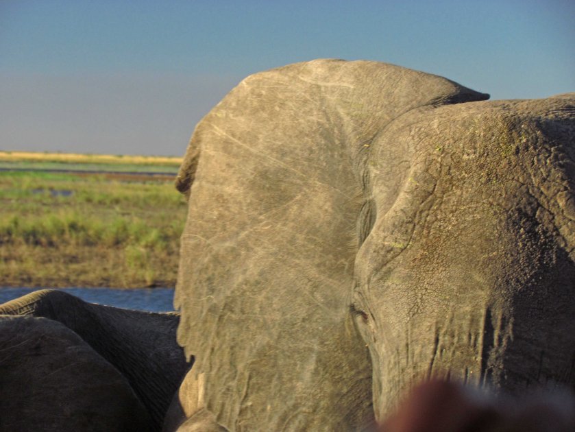 photograph by Cheryl Merrill