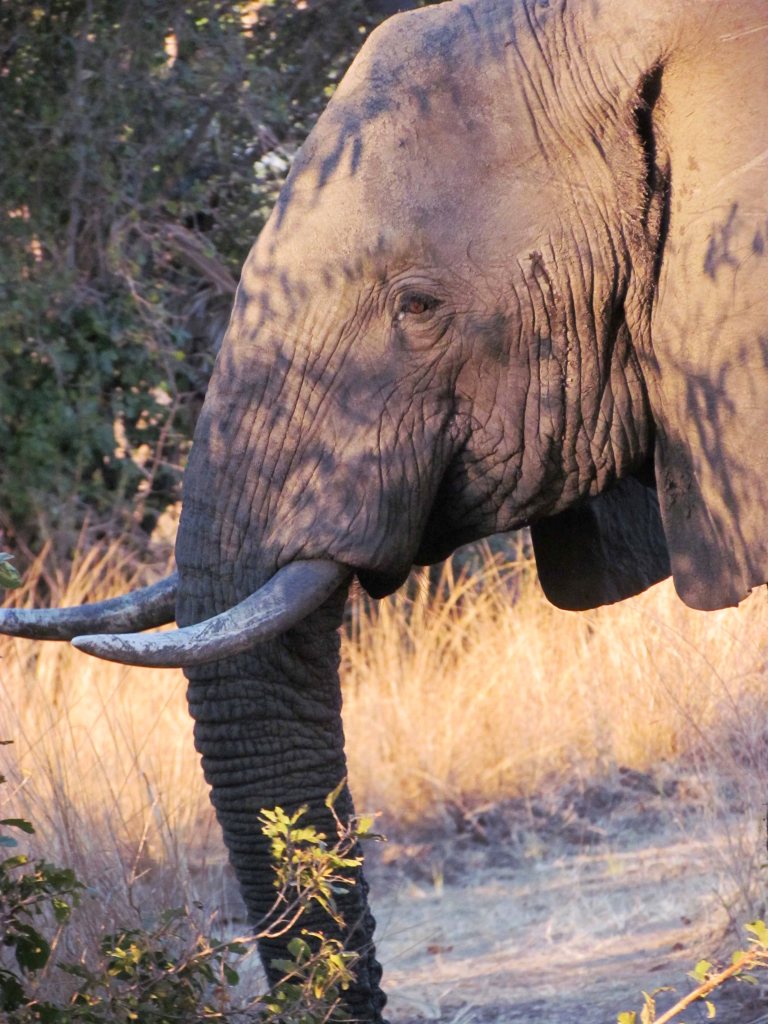 photograph by Cheryl Merrill