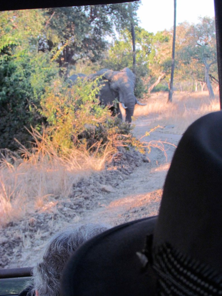 photograph by Cheryl Merrill