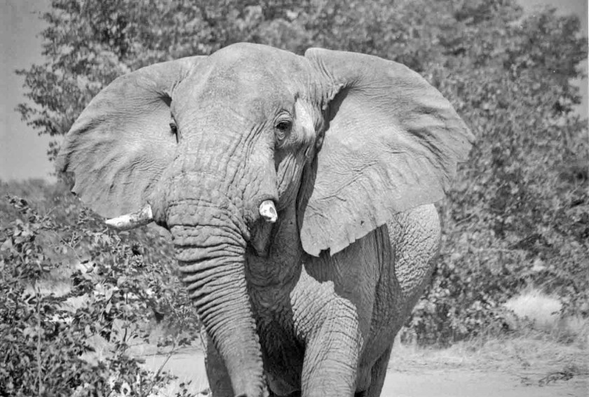 photograph by Cheryl Merrill