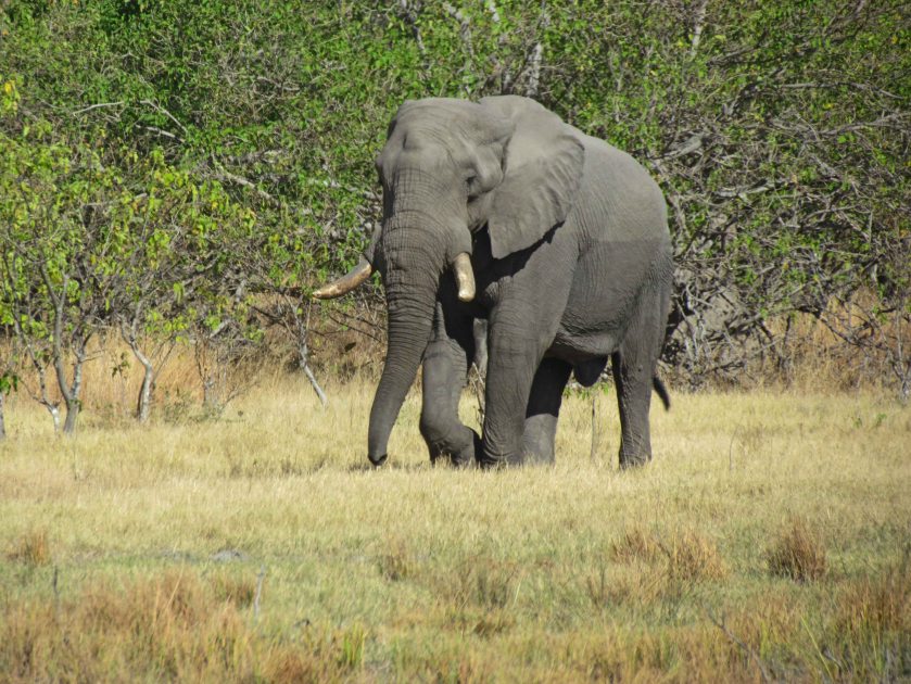 photograph by Cheryl Merrill 