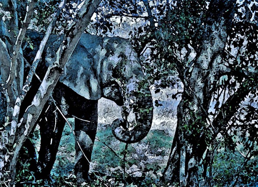 photograph by Cheryl Merrill