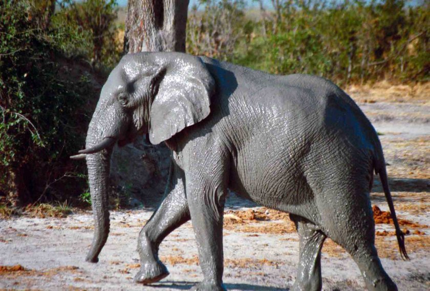 photograph by Cheryl Merrill