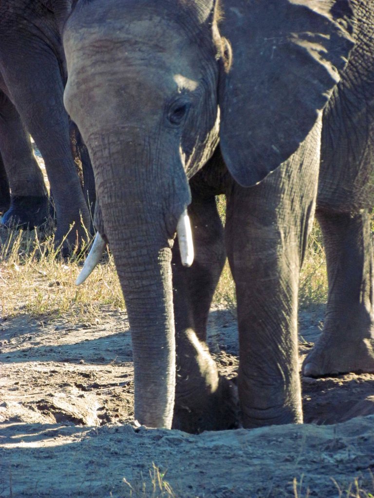 photograph by Cheryl Merrill