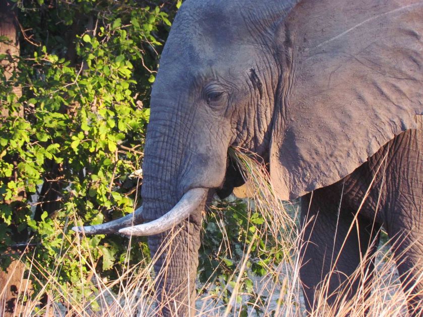 photograph by Cheryl Merrill