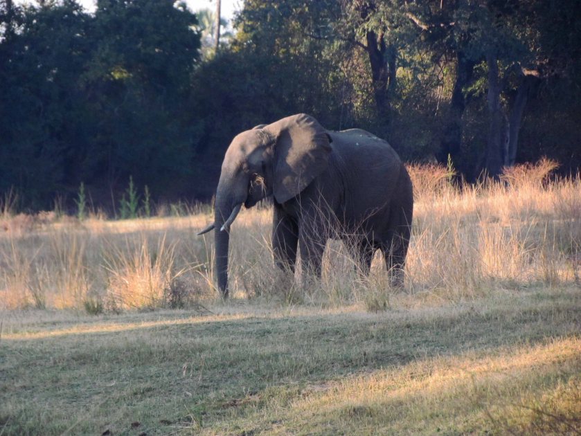 photograph by Cheryl Merrill