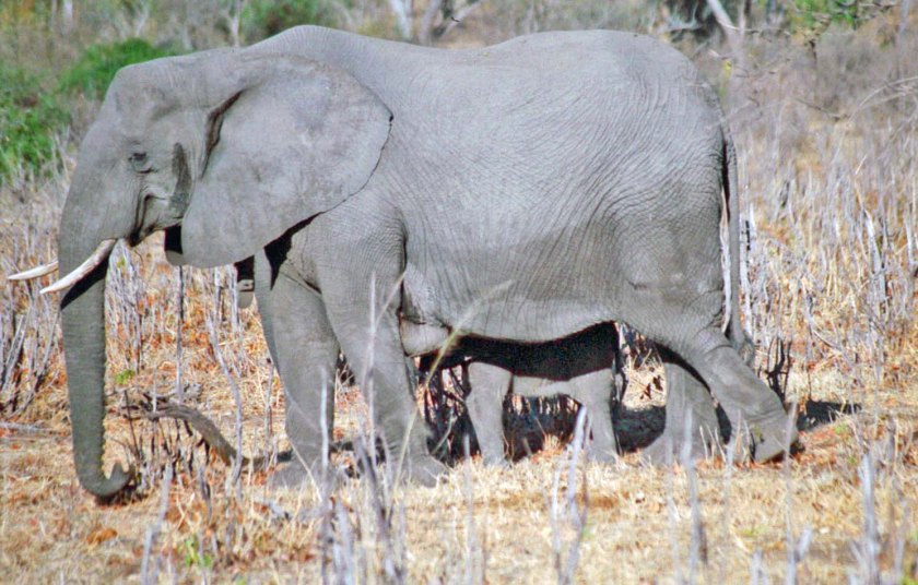 photograph by Cheryl Merrill