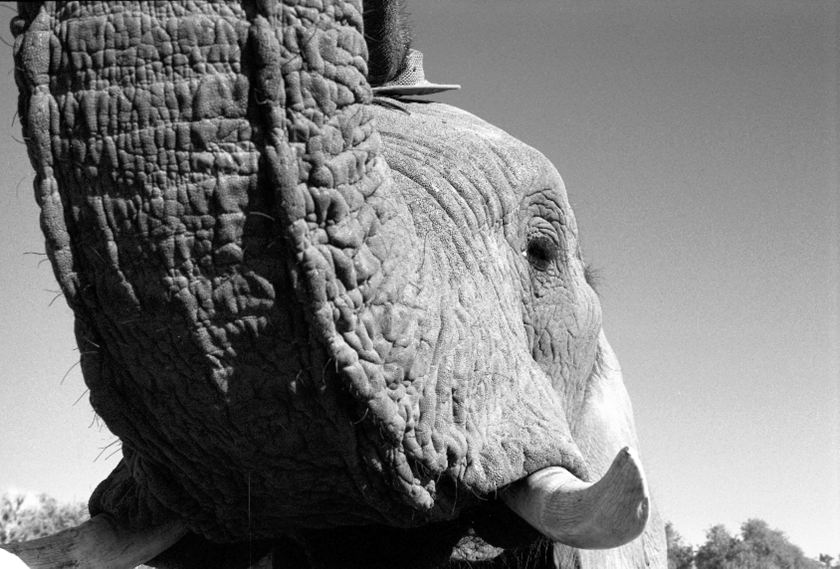 photograph by Cheryl Merrill