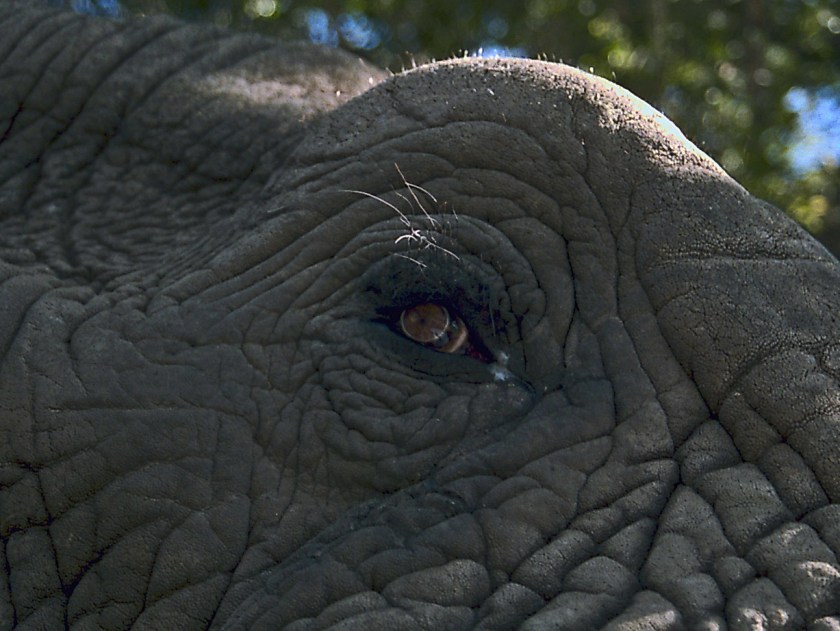 photograph by Cheryl Merrill