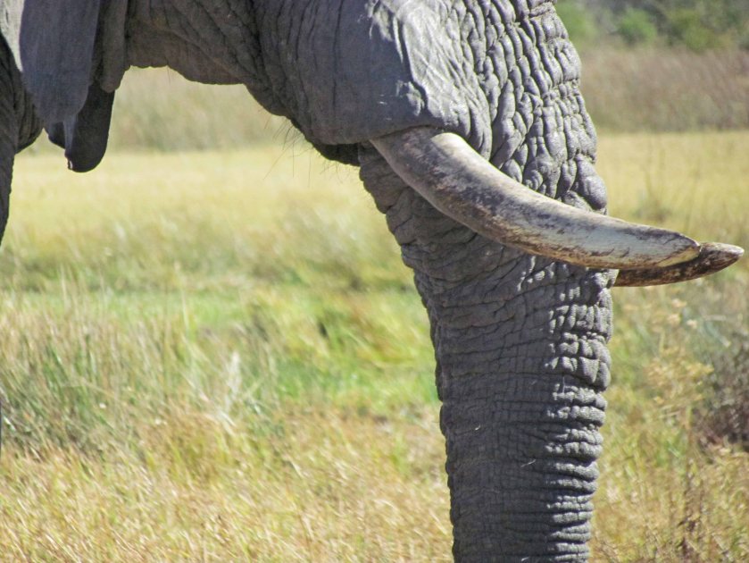 Photograph by Cheryl Merrill