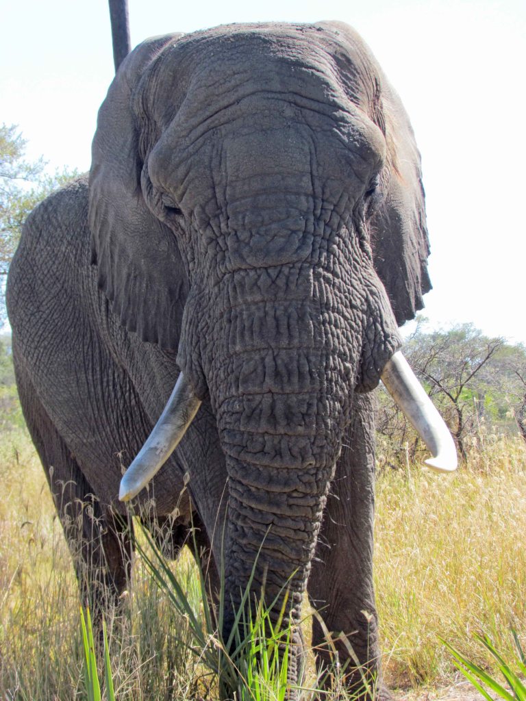 photograph by Cheryl Merrill