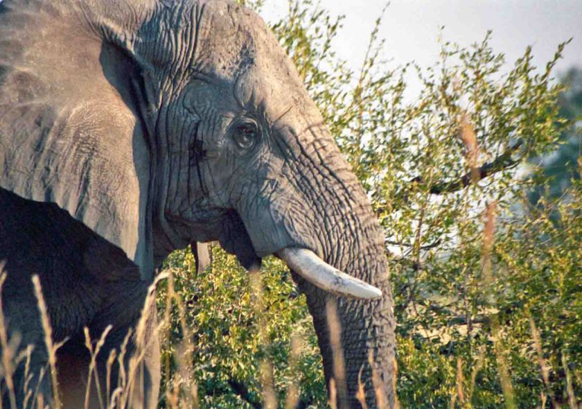 photograph by Cheryl Merrill