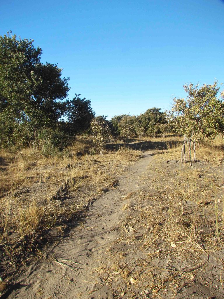 photograph by Cheryl Merrill