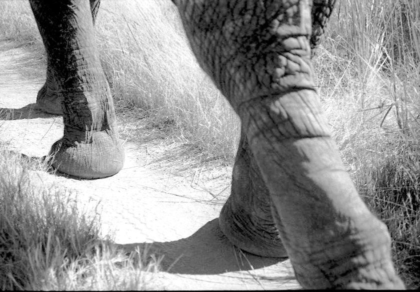 photograph by Cheryl Merrill