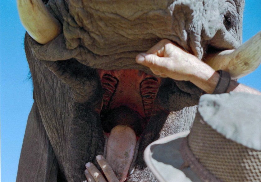 photograph by Cheryl Merrill