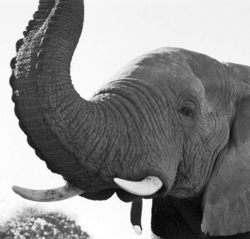 photograph by Cheryl Merrill