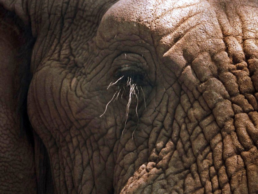 photograph by Cheryl Merrill