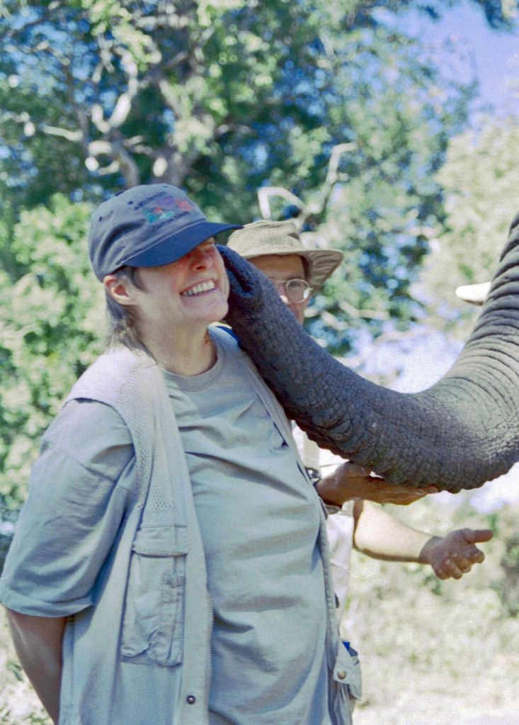 photograph by Cheryl Merrill