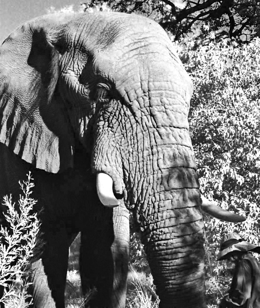 photograph by Cheryl Merrill