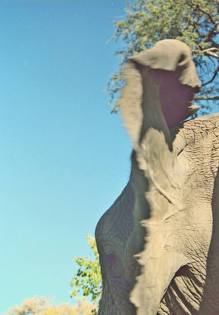 photograph by Cheryl Merrill