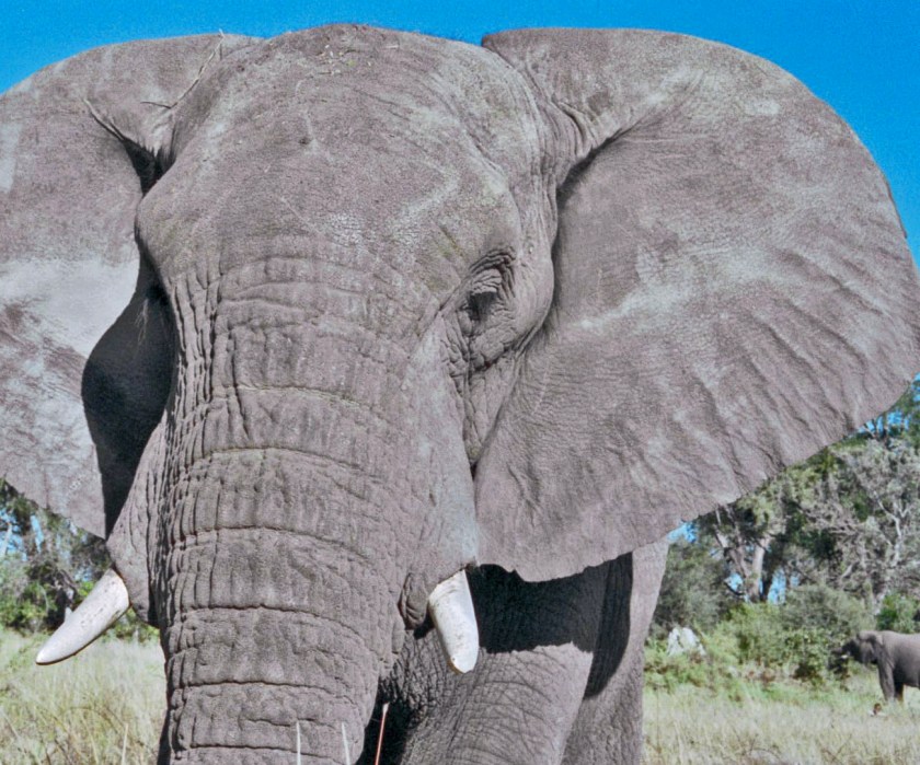 photograph by Cheryl Merrill