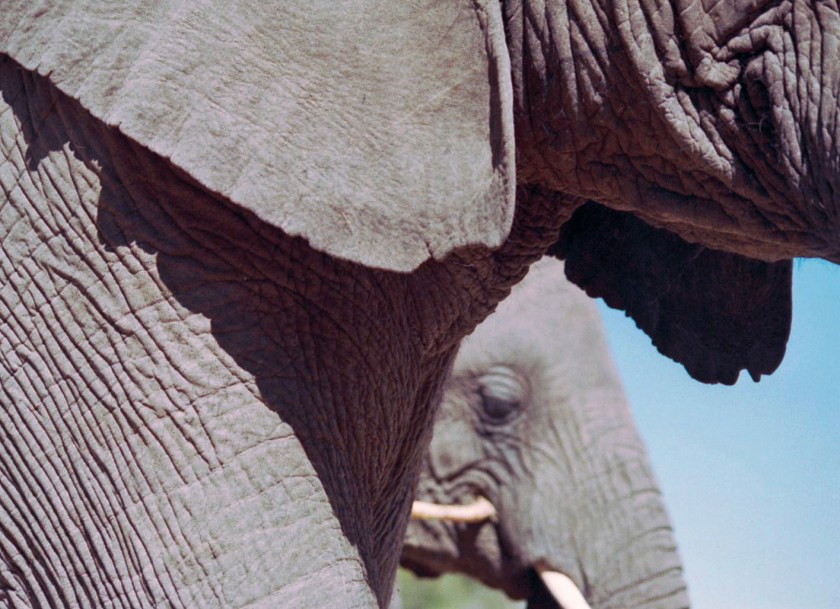 photograph by Cheryl Merrill