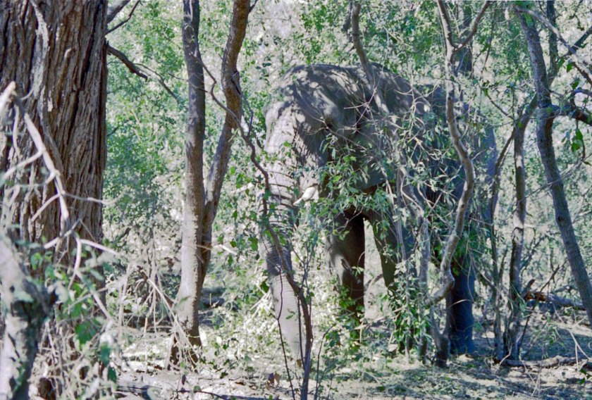 photograph by Cheryl Merrill