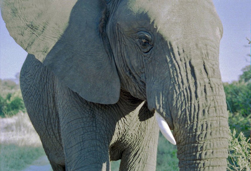 photograph by Cheryl Merrill