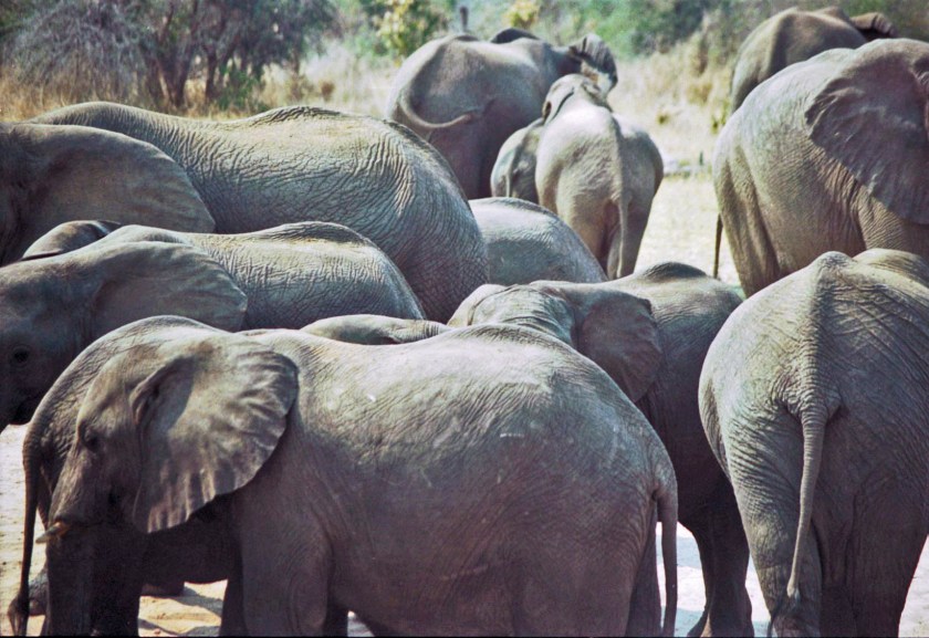 photograph by Cheryl Merrill