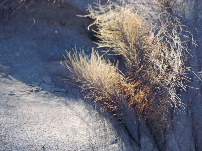 photograph by Cheryl Merrill