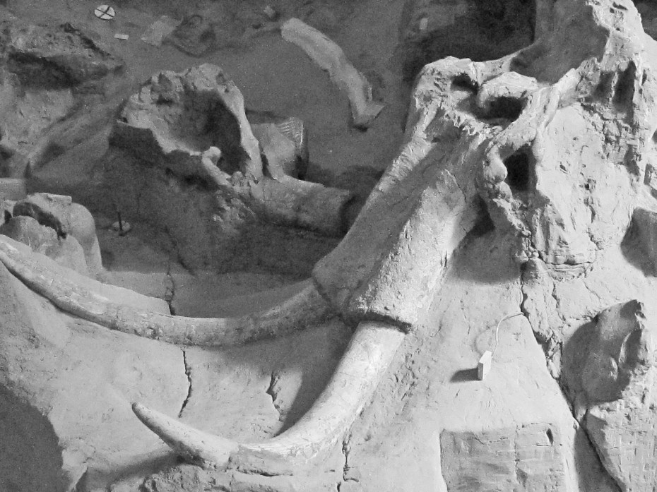 photograph by Cheryl Merrill