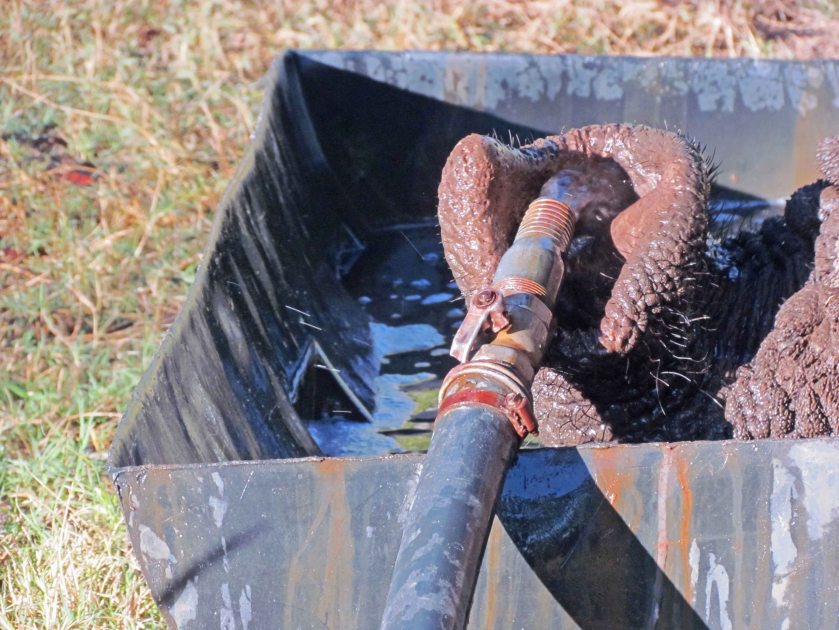 photograph by Cheryl Merrill