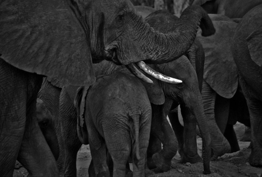 photograph by Cheryl Merrill