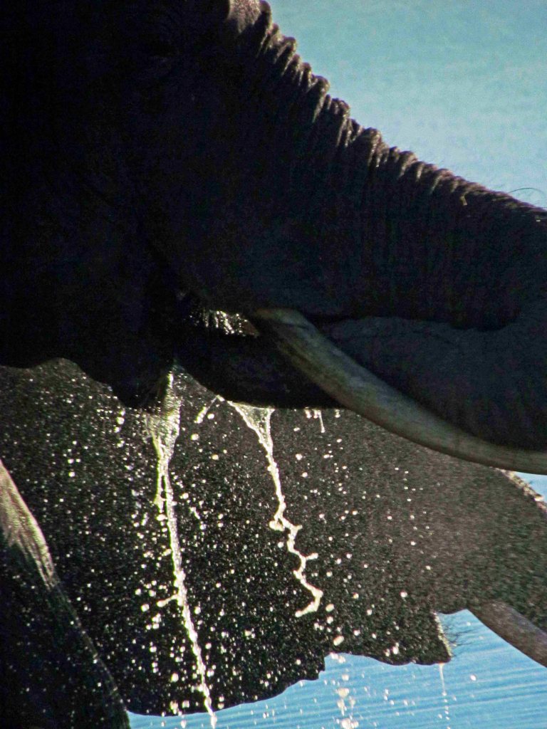 Photograph by Cheryl Merrill