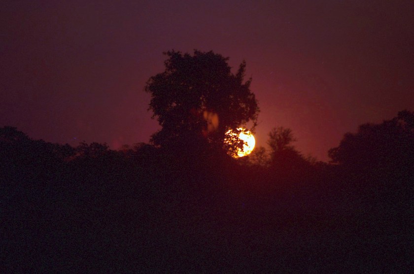 photograph by Cheryl Merrill