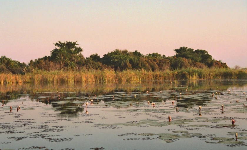 photograph by Cheryl Merrill