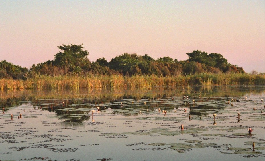 photograph by Cheryl Merrill